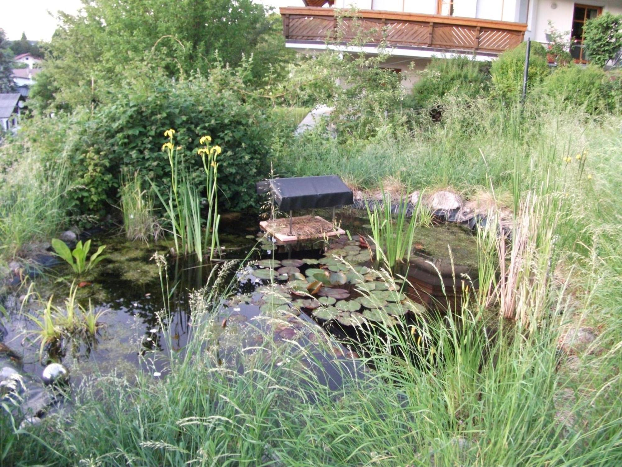 Ferienwohnung Krottensee グムンデン エクステリア 写真